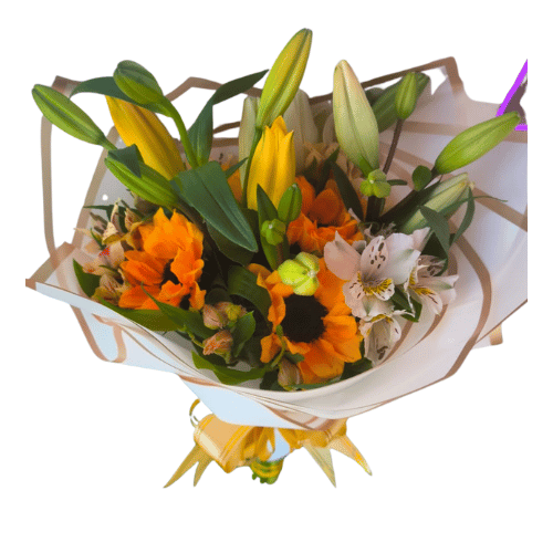 Diseño sin título - 2025-10-28T181448