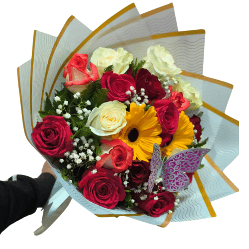 Diseño sin título - 2025-10-28T185743