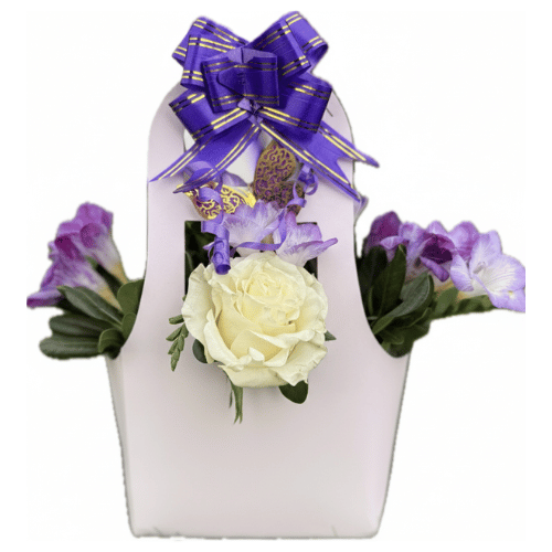 Diseño sin título - 2025-10-28T193854