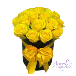 Box en Rosas Amarillas