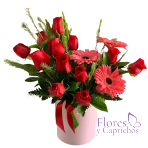 Box en Rosas rojas y Gerberas