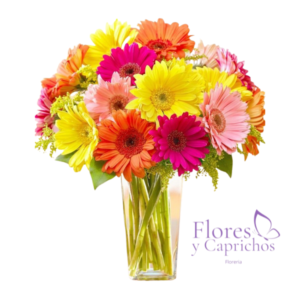 Florero de 30 Gerberas