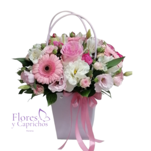 Cartera en Tonos Pasteles