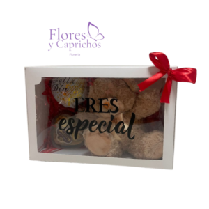 Peluche y Chocolate en Caja