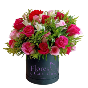 Box En Rosas Bicolor