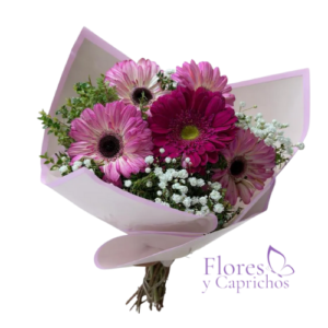 5 Gerberas en Ramo