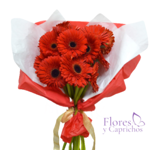 Gerberas Rojas en Ramo
