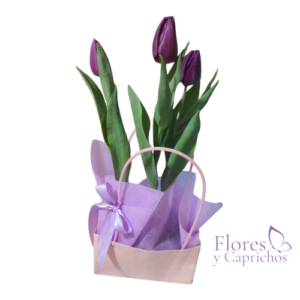 Cartera con 3 Tulipanes