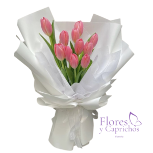 10 Tulipanes en Ramo