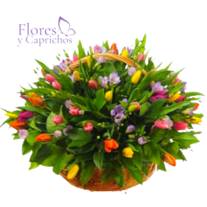 Canasta de 40 Tulipanes Primaverales