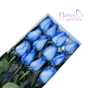 Caja con 12 Rosas Azules