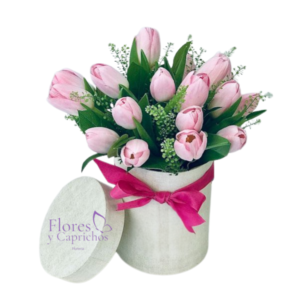 Box de 10 tulipanes