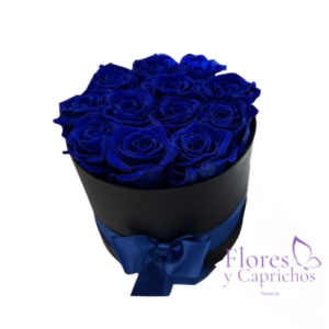 12 Rosas Azules en Box