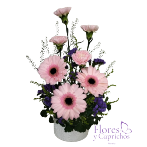 Box Yerberas y Claveles