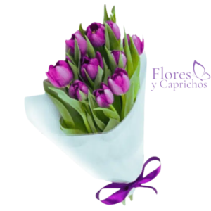 10 tulipanes lilas en ramo