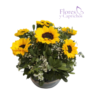 Pecera con 6 Girasoles