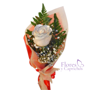 Rosa Blanca Decorada