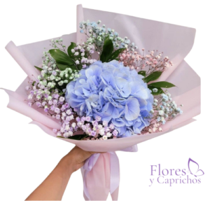 Ramo de Hortensia