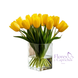 Tulipanes en Cubo