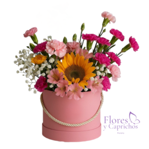 Box En Tonos Vibrantes