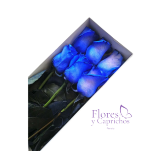 Caja de 6 Rosas Azules