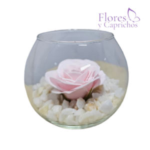 Rosa Eterna en Pecera