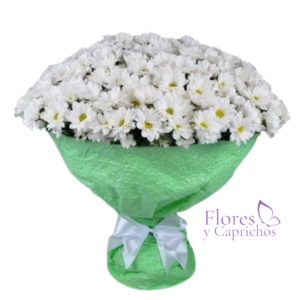 Ramo en Margaritas Blancas