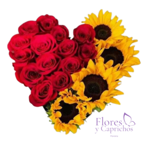 Box Corazon Encantado