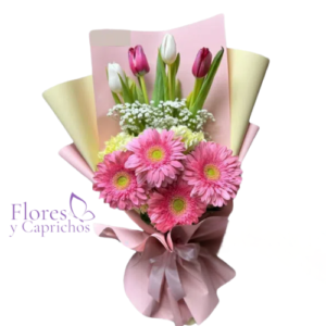 Gerberas y Tulipanes