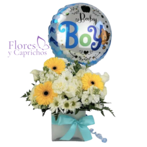 Box de Nacimiento Niño