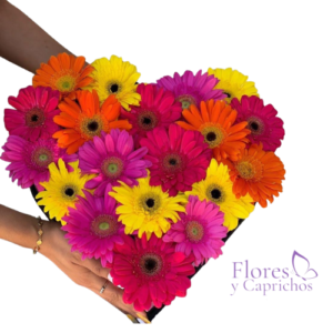 Colores que Enamoran