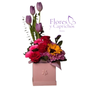 Box Primavera Intensa