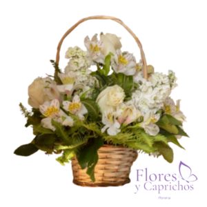 Canasta en Astromelias