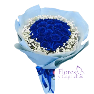 Rosas Azules y Gipsofilia