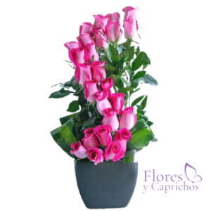 Arreglo con 24 Rosas