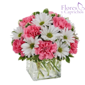 Cubo de Margaritas y Claveles