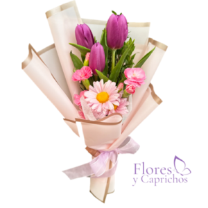 Tulipanes de Primavera