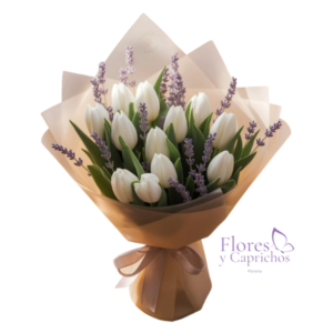 Tulipanes Blancos